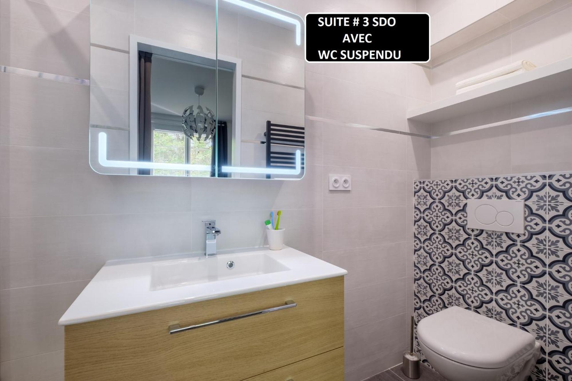 Appart 3 Suites-Chaque Suite Avec Sdo Wc Privatifs - Cuisine Commune Tassin-la-Demi-Lune Exterior foto