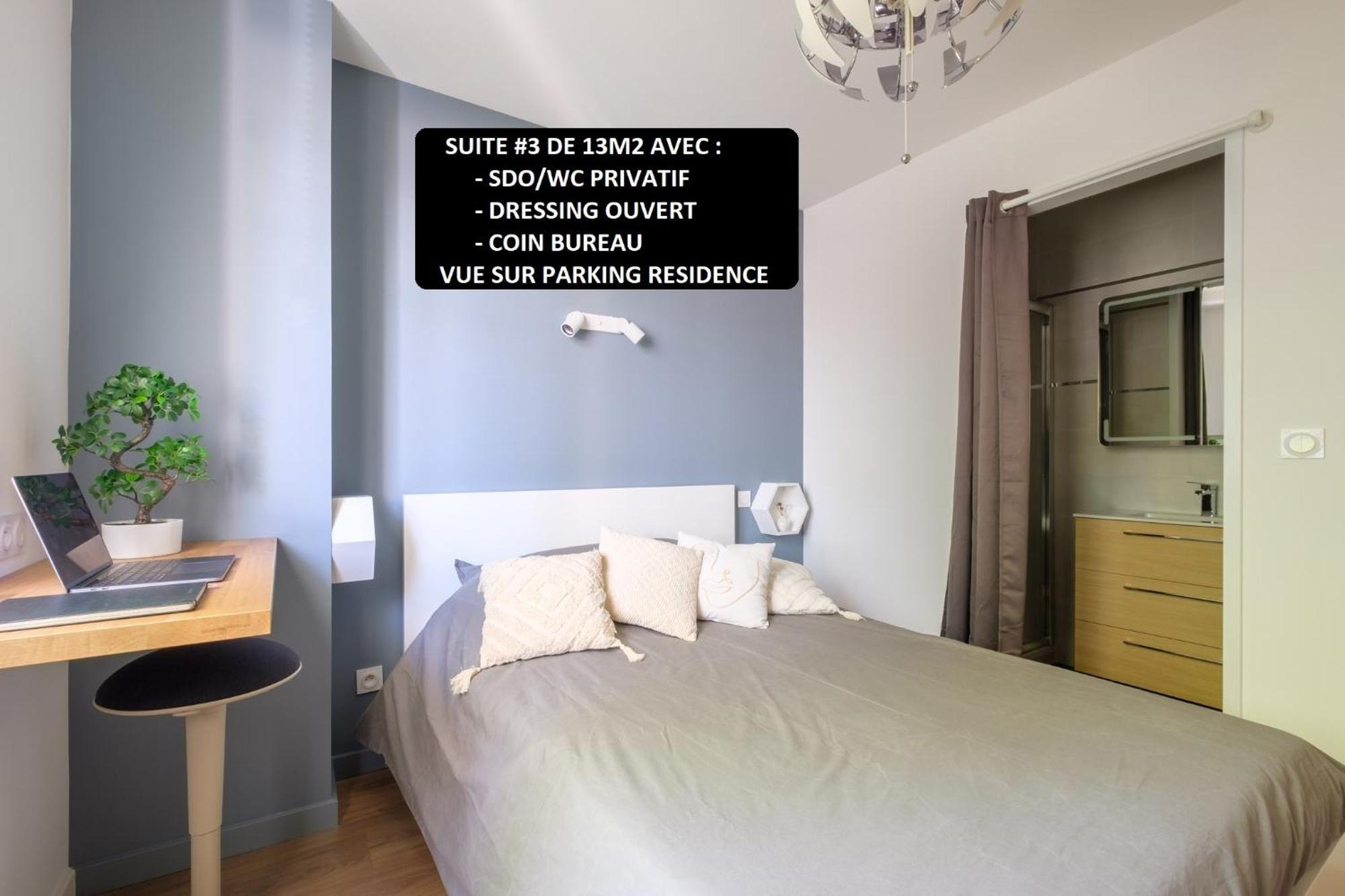 Appart 3 Suites-Chaque Suite Avec Sdo Wc Privatifs - Cuisine Commune Tassin-la-Demi-Lune Exterior foto