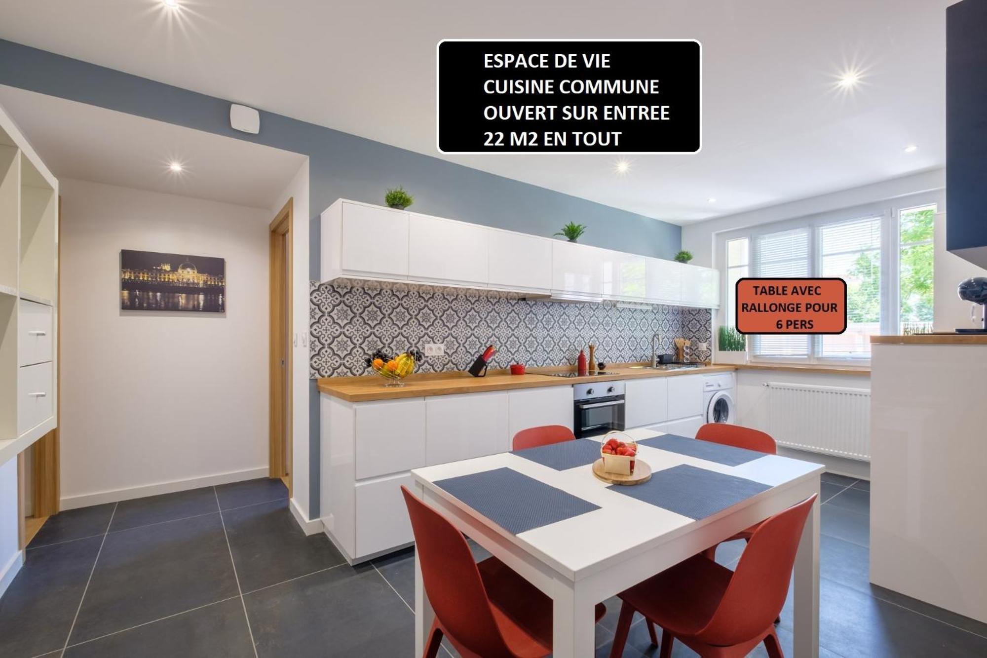 Appart 3 Suites-Chaque Suite Avec Sdo Wc Privatifs - Cuisine Commune Tassin-la-Demi-Lune Exterior foto